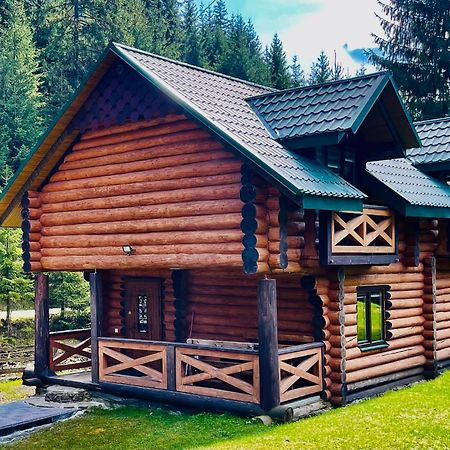 У Віти Котедж4 Synevyrsʼka Polyana 外观 照片