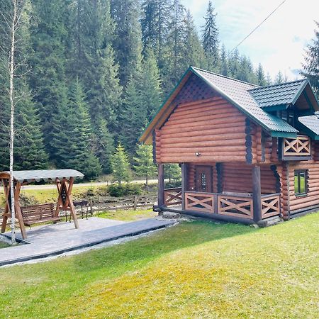 У Віти Котедж4 Synevyrsʼka Polyana 外观 照片